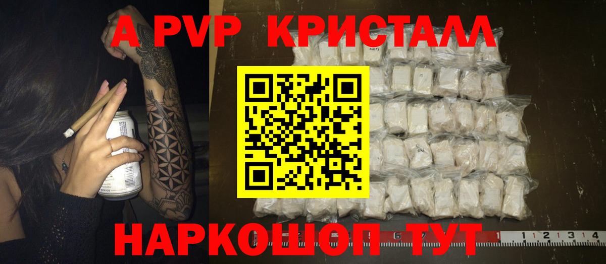 Альфа ПВП СК Сосновоборск