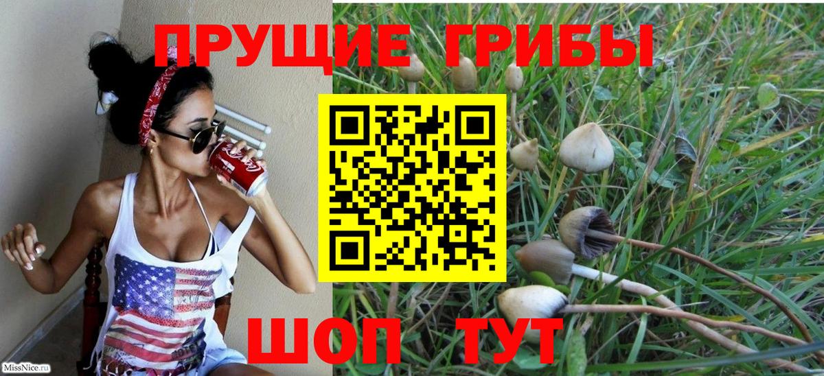 Галлюциногенные грибы Magic Shrooms Сосновоборск