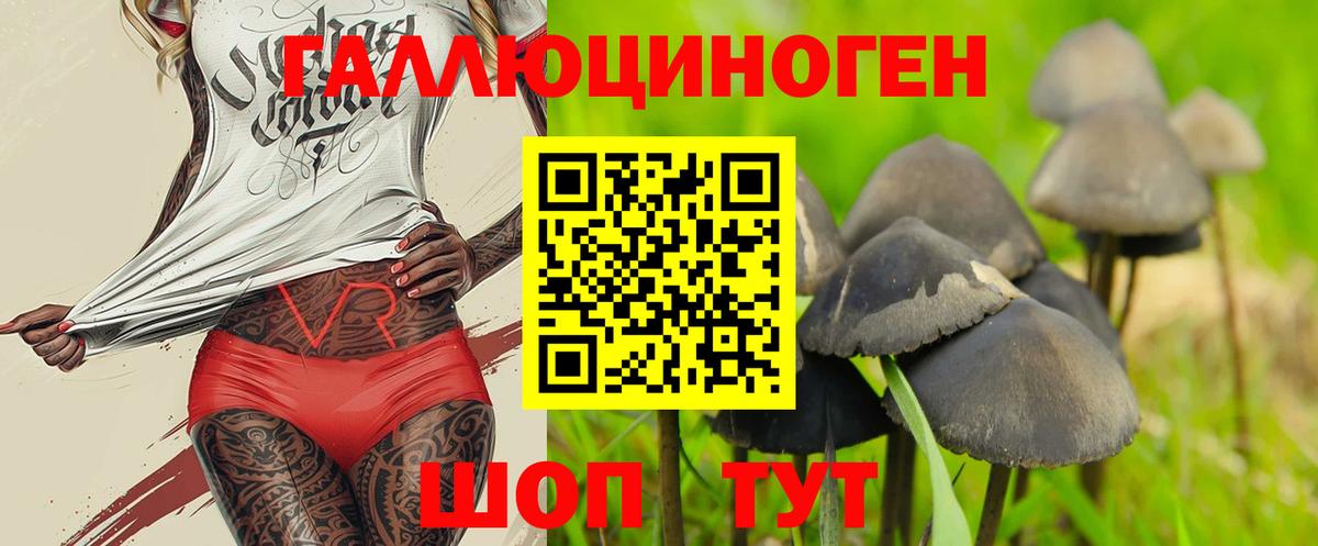 Галлюциногенные грибы GOLDEN TEACHER  Вход с VPN  Сосновоборск 